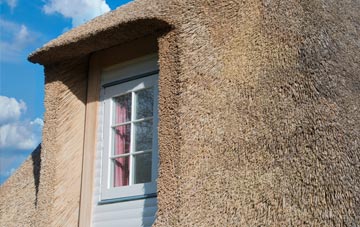 Kemback thatch roof disadvantages
